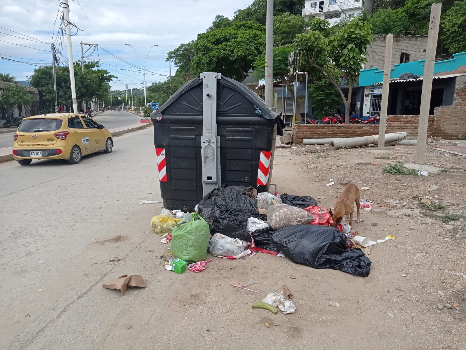 Calles de Santa Marta están colapsadas de basuras - Santa Marta Al Día