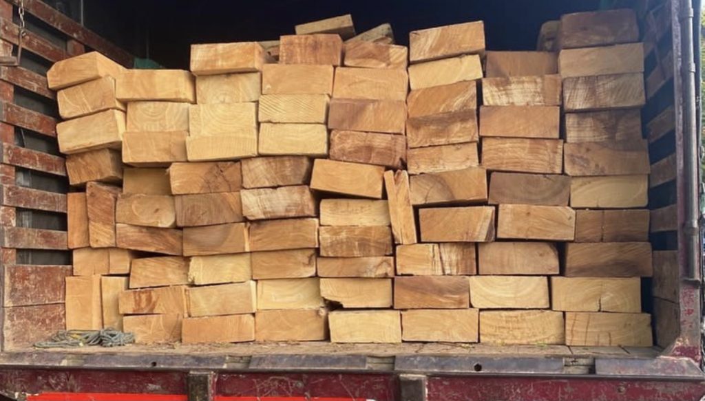 Policía y Corpamag decomisan 160 unidades de madera en bloque  | Noticias de Buenaventura, Colombia y el Mundo