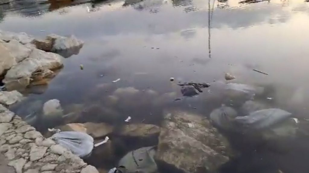En video: Marina de Santa Marta invadida de basura - Santa Marta Al Día