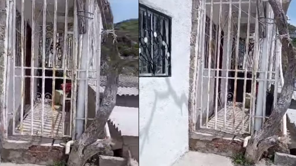 Hombre murió en el interior de su vivienda en San Jorge y no han ...