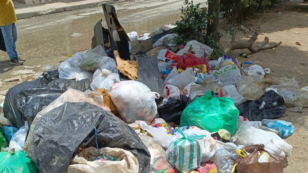 No cesa el problema de las basuras en Santa Marta - Santa Marta Al Día